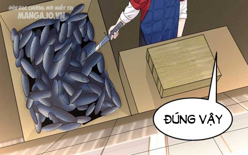 Hệ Thống Chiến Đấu Vô Địch Chapter 12 - Trang 2