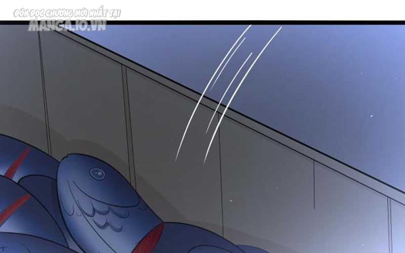 Hệ Thống Chiến Đấu Vô Địch Chapter 12 - Trang 2