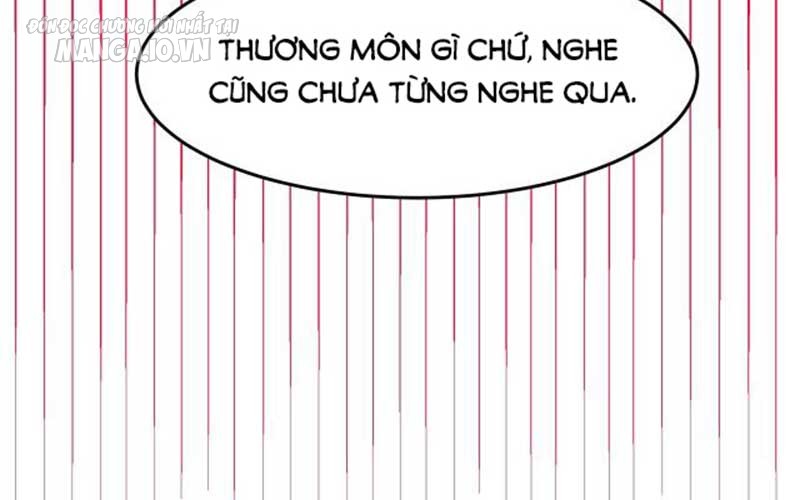 Hệ Thống Chiến Đấu Vô Địch Chapter 13 - Trang 2