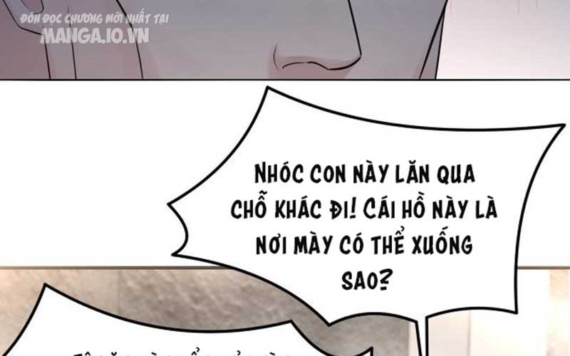 Hệ Thống Chiến Đấu Vô Địch Chapter 13 - Trang 2