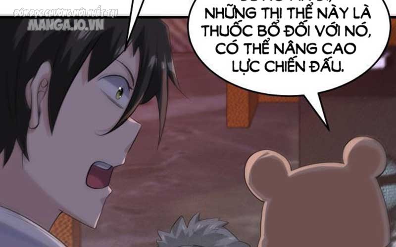 Hệ Thống Chiến Đấu Vô Địch Chapter 15 - Trang 2