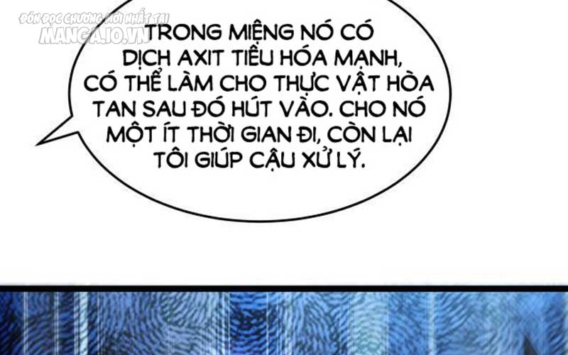 Hệ Thống Chiến Đấu Vô Địch Chapter 15 - Trang 2