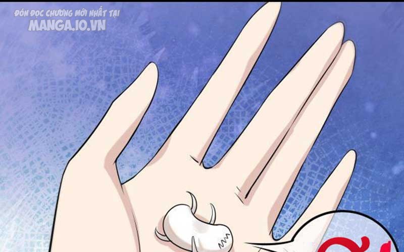 Hệ Thống Chiến Đấu Vô Địch Chapter 15 - Trang 2