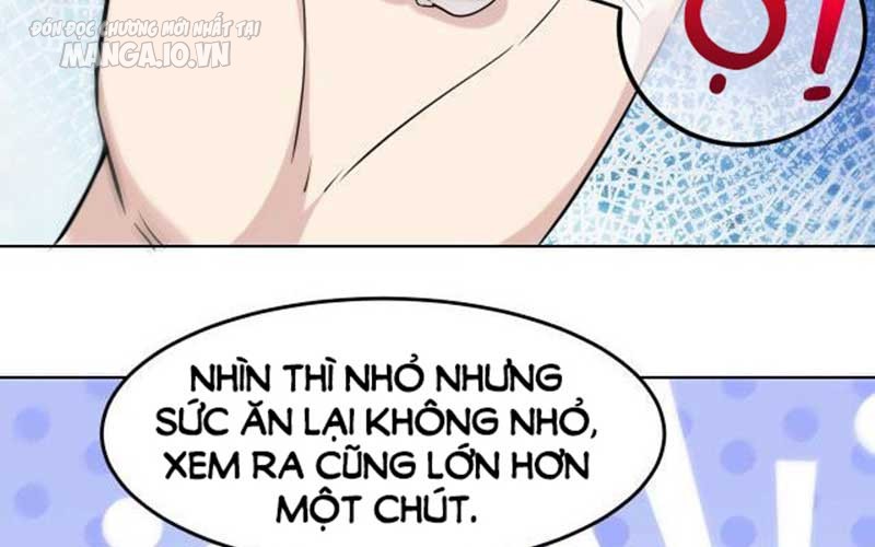 Hệ Thống Chiến Đấu Vô Địch Chapter 15 - Trang 2