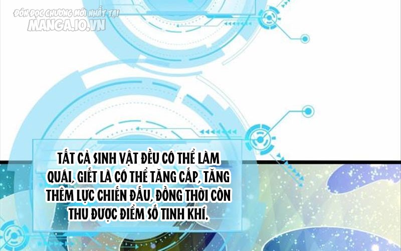 Hệ Thống Chiến Đấu Vô Địch Chapter 2 - Trang 2