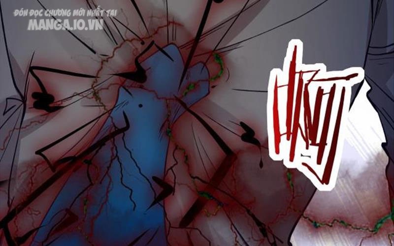 Hệ Thống Chiến Đấu Vô Địch Chapter 2 - Trang 2