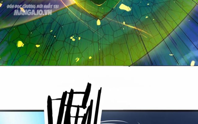 Hệ Thống Chiến Đấu Vô Địch Chapter 3 - Trang 2