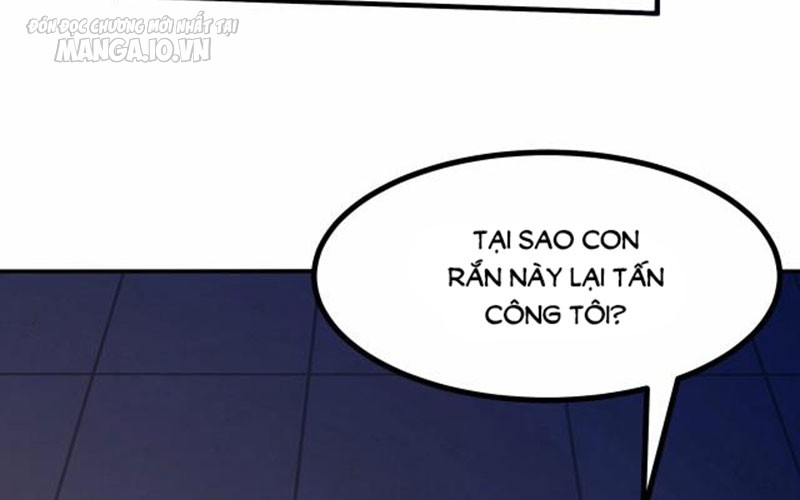 Hệ Thống Chiến Đấu Vô Địch Chapter 3 - Trang 2