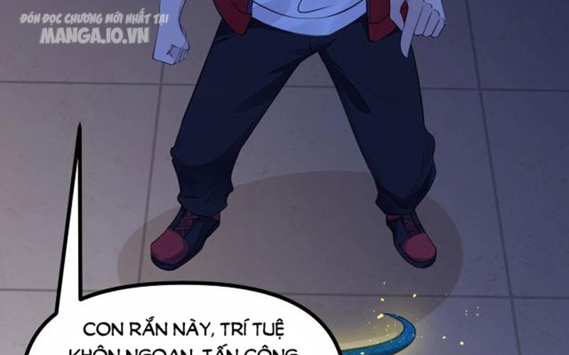 Hệ Thống Chiến Đấu Vô Địch Chapter 3 - Trang 2