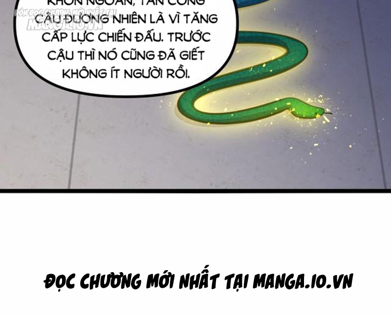 Hệ Thống Chiến Đấu Vô Địch Chapter 3 - Trang 2