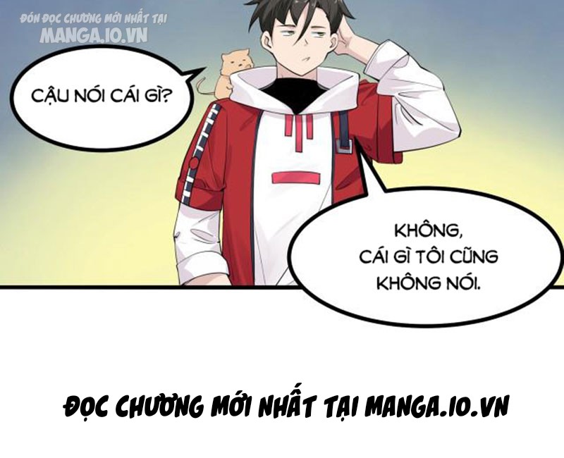 Hệ Thống Chiến Đấu Vô Địch Chapter 3 - Trang 2