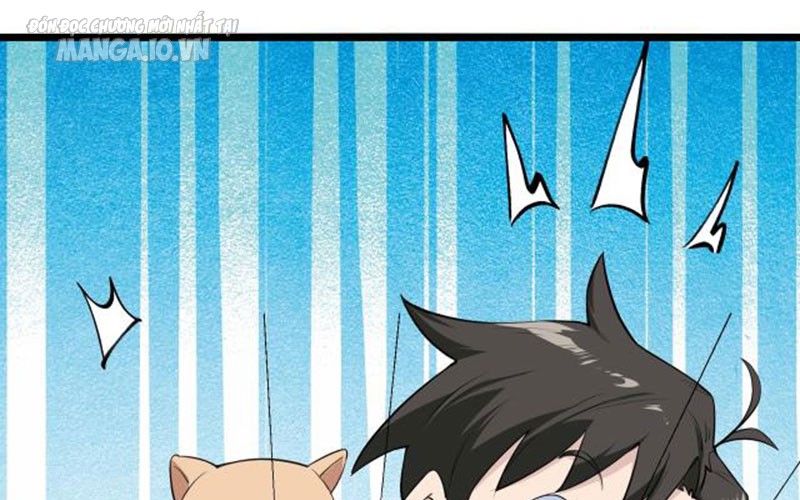 Hệ Thống Chiến Đấu Vô Địch Chapter 3 - Trang 2