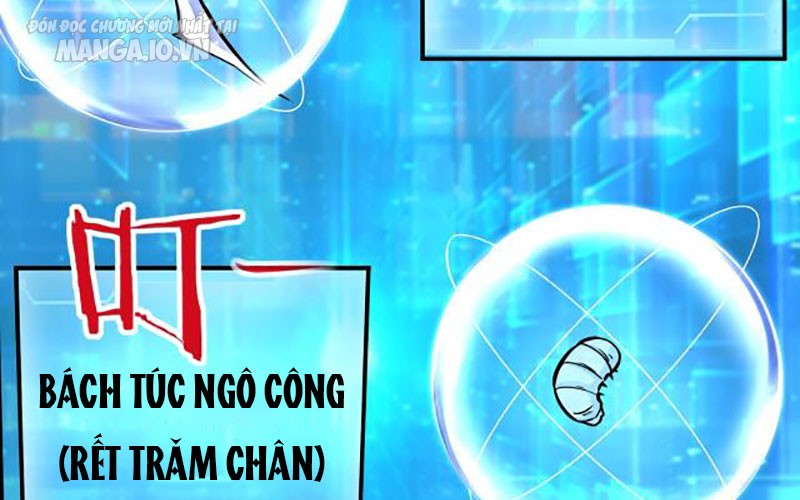 Hệ Thống Chiến Đấu Vô Địch Chapter 6 - Trang 2