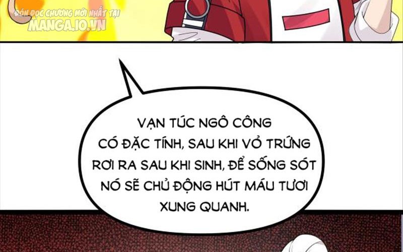 Hệ Thống Chiến Đấu Vô Địch Chapter 7 - Trang 2
