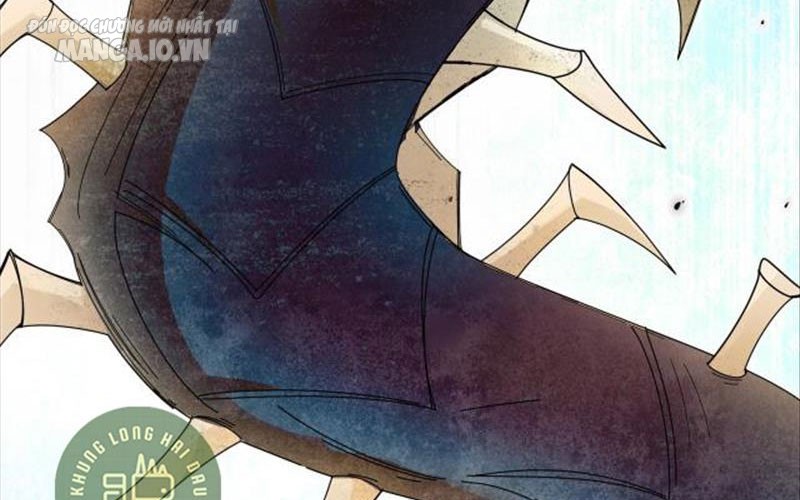 Hệ Thống Chiến Đấu Vô Địch Chapter 7 - Trang 2