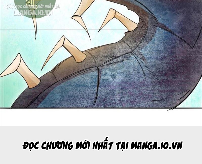 Hệ Thống Chiến Đấu Vô Địch Chapter 7 - Trang 2
