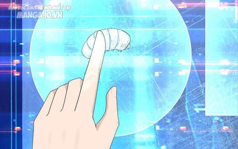 Hệ Thống Chiến Đấu Vô Địch Chapter 7 - Trang 2