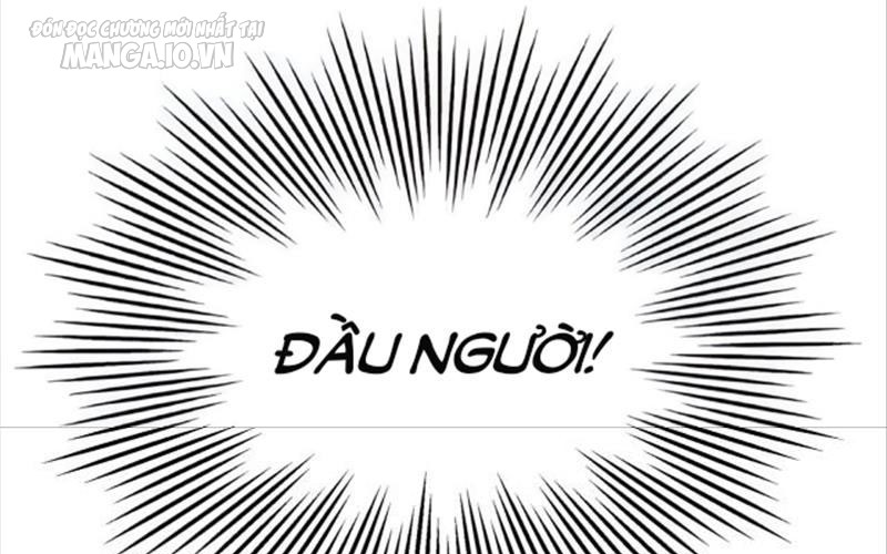 Hệ Thống Chiến Đấu Vô Địch Chapter 9 - Trang 2