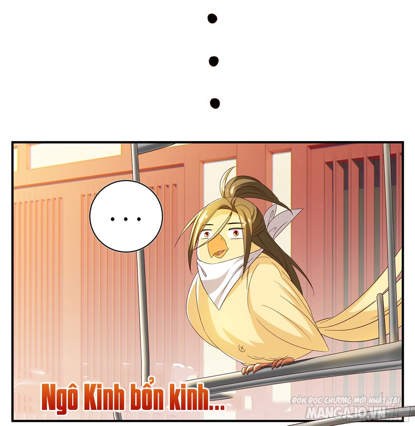 Hệ Thống Ép Ta Làm Nhân Vật Phản Diện Chapter 36 - Trang 2