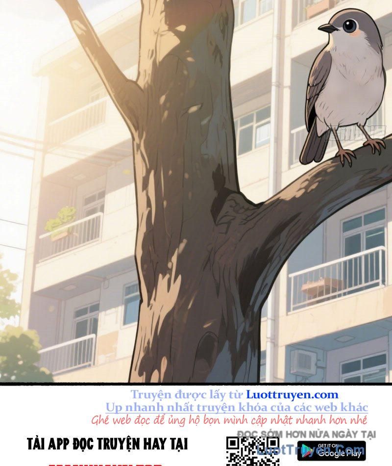 Hệ Thống Hoàn Tiền: Vô Hạn Tự Do Tài Chính Chapter 10 - Trang 2