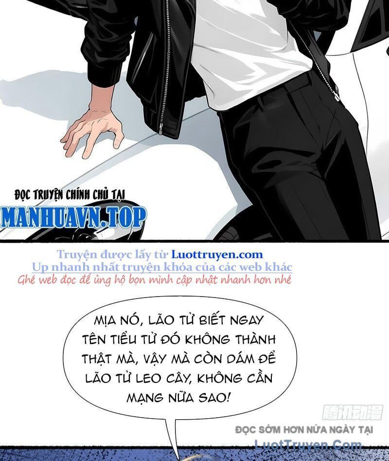Hệ Thống Hoàn Tiền: Vô Hạn Tự Do Tài Chính Chapter 16 - Trang 2