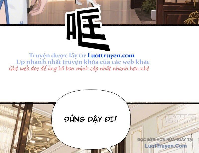 Hệ Thống Hoàn Tiền: Vô Hạn Tự Do Tài Chính Chapter 19 - Trang 2