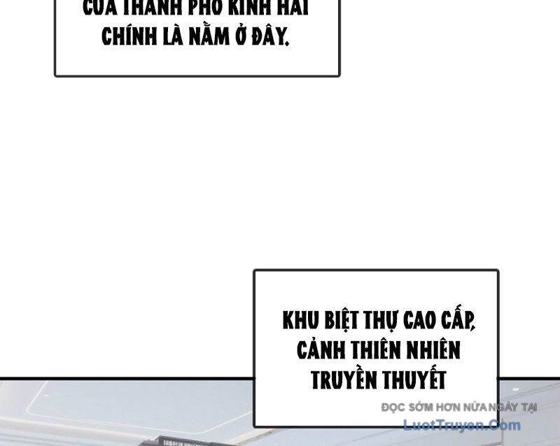 Hệ Thống Hoàn Tiền: Vô Hạn Tự Do Tài Chính Chapter 3 - Trang 2