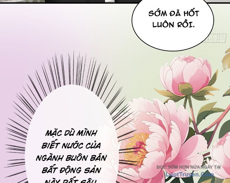 Hệ Thống Hoàn Tiền: Vô Hạn Tự Do Tài Chính Chapter 4 - Trang 2