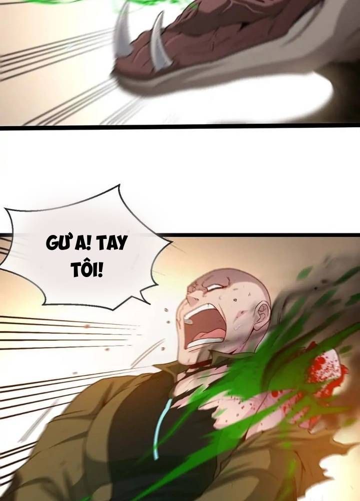 Hệ Thống Thăng Cấp Thành Thần Chapter 4 - Trang 2
