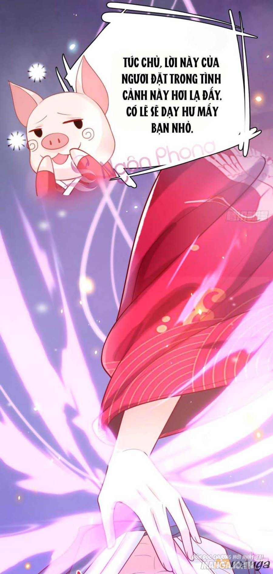 Hệ Thống Xuyên Nhanh: Ác Nam Không Dễ Chọc Chapter 2 - Trang 2