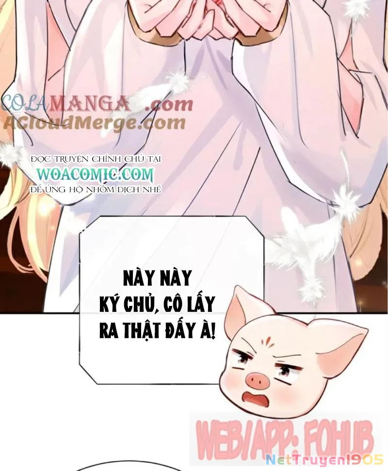 Hệ Thống Xuyên Nhanh: Ác Nam Không Dễ Chọc Chapter 210 - Trang 2