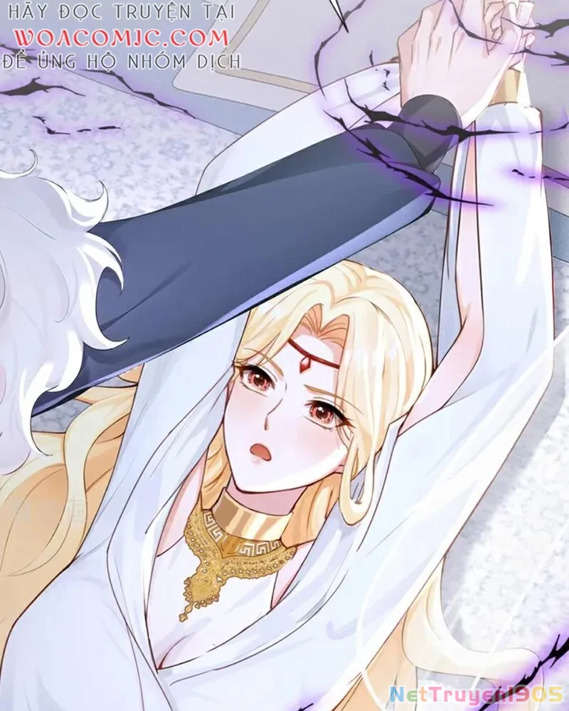 Hệ Thống Xuyên Nhanh: Ác Nam Không Dễ Chọc Chapter 211 - Trang 2