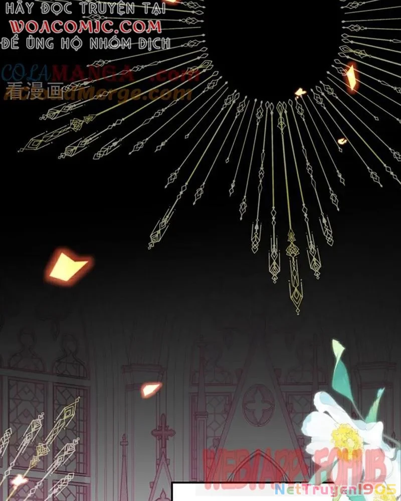 Hệ Thống Xuyên Nhanh: Ác Nam Không Dễ Chọc Chapter 212 - Trang 2