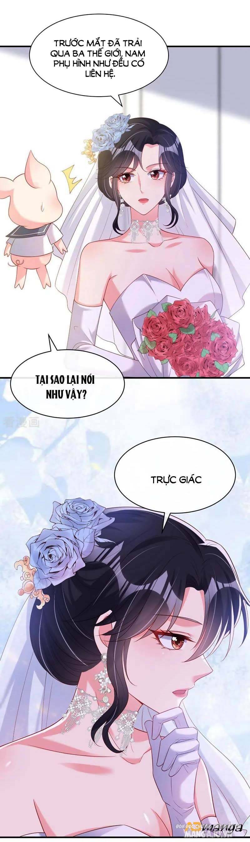 Hệ Thống Xuyên Nhanh: Ác Nam Không Dễ Chọc Chapter 81 - Trang 2