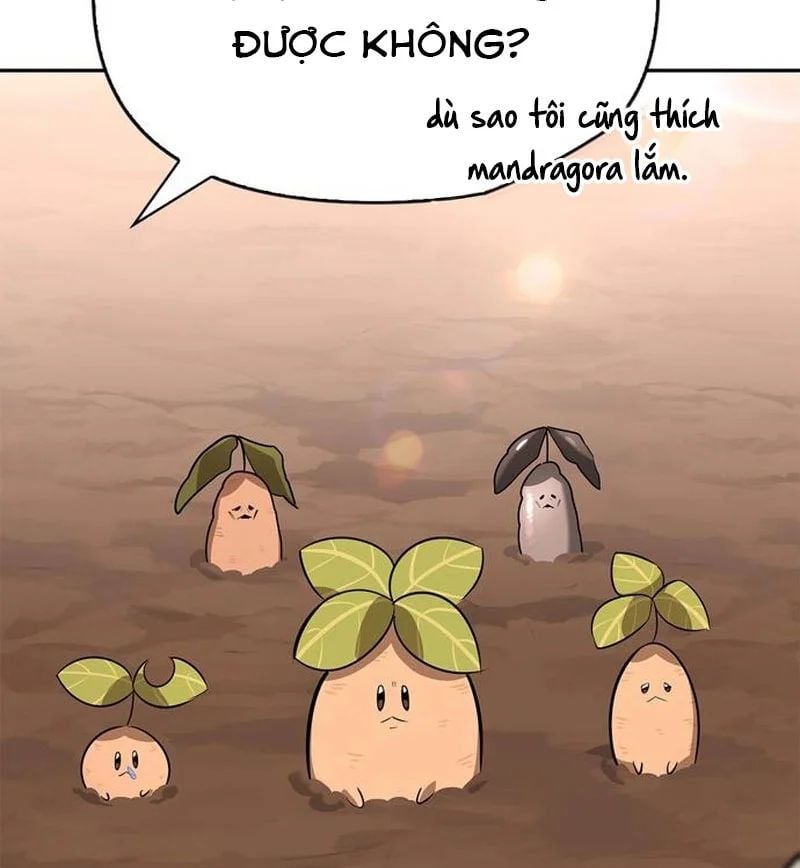 Healer Cấp S Chữa Trị Cho Quái Vật Chapter 26 - Trang 2