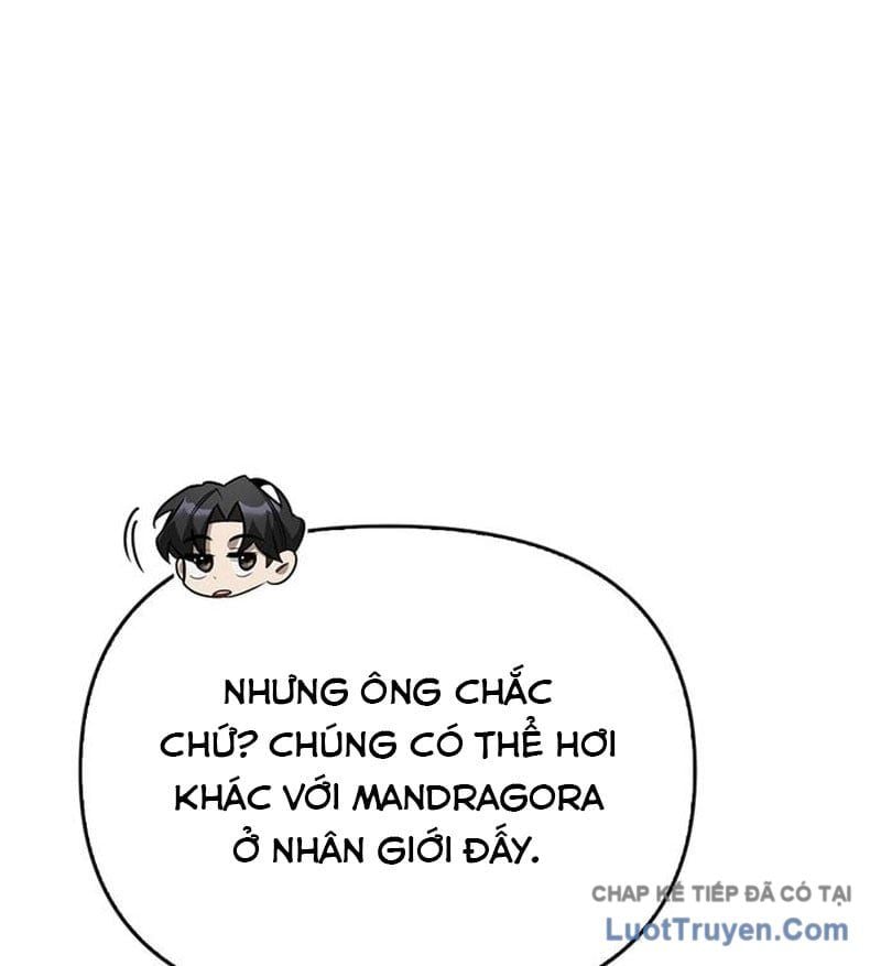 Healer Cấp S Chữa Trị Cho Quái Vật Chapter 26 - Trang 2