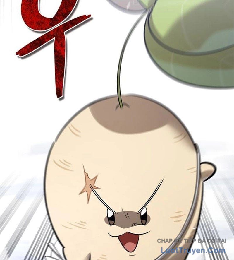 Healer Cấp S Chữa Trị Cho Quái Vật Chapter 26 - Trang 2