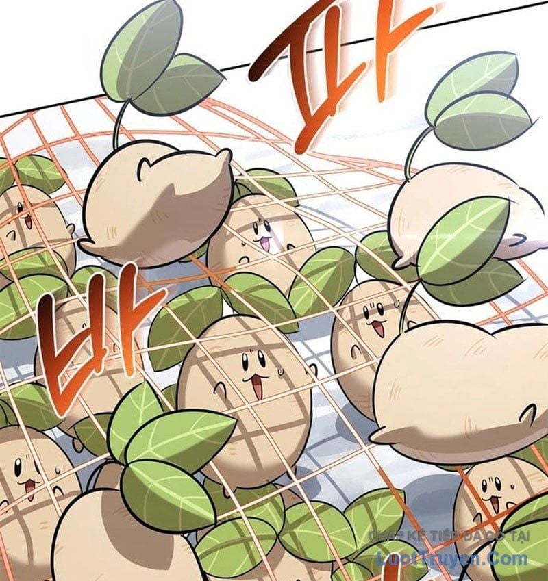 Healer Cấp S Chữa Trị Cho Quái Vật Chapter 26 - Trang 2