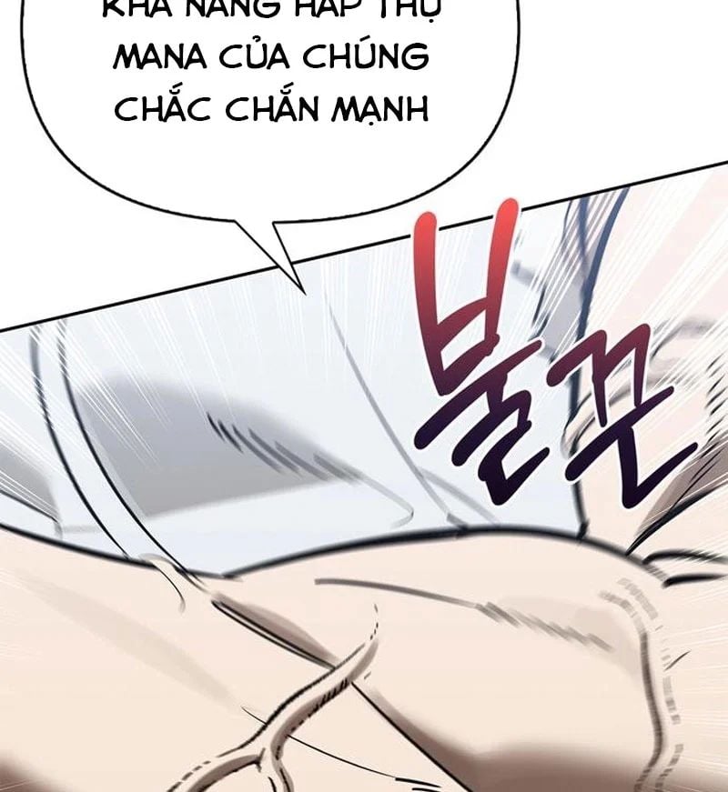 Healer Cấp S Chữa Trị Cho Quái Vật Chapter 26 - Trang 2