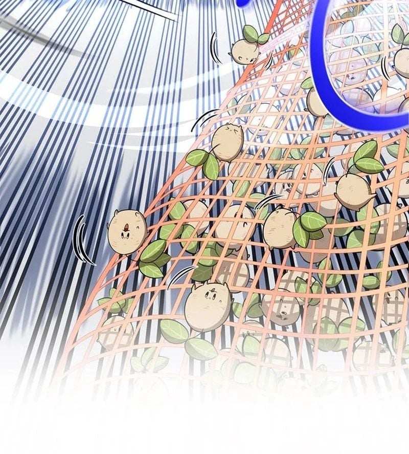 Healer Cấp S Chữa Trị Cho Quái Vật Chapter 26 - Trang 2