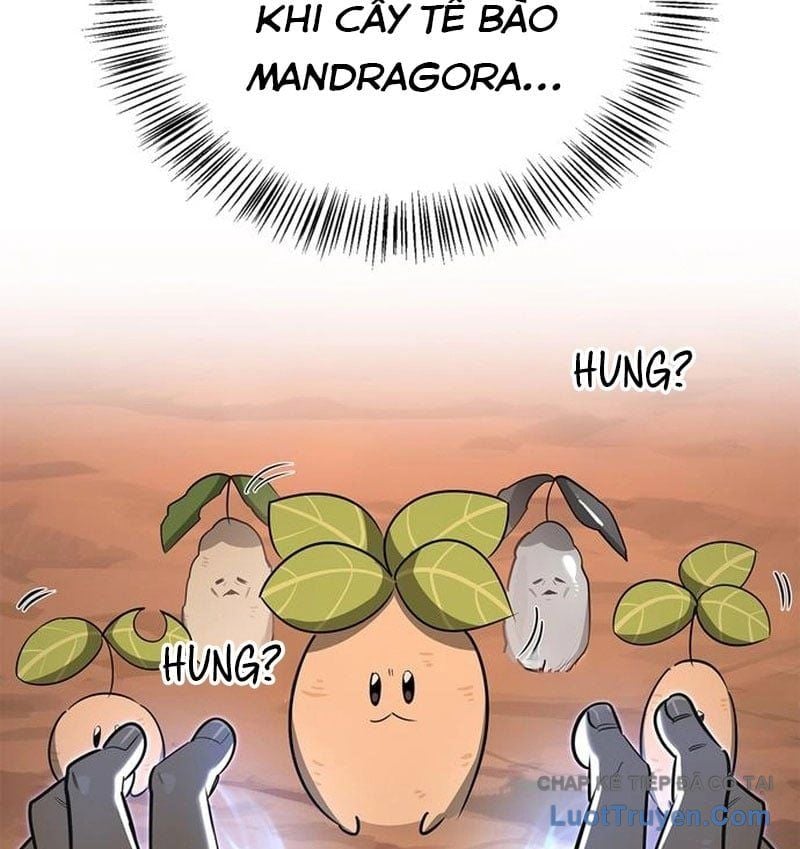 Healer Cấp S Chữa Trị Cho Quái Vật Chapter 26 - Trang 2