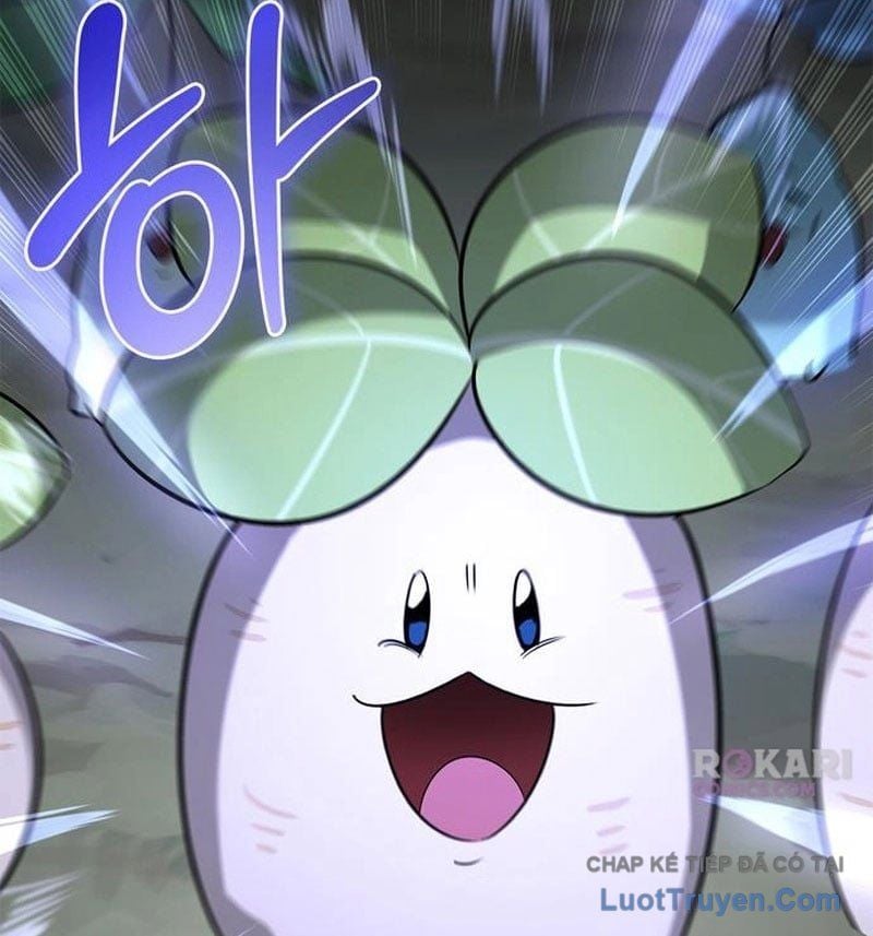 Healer Cấp S Chữa Trị Cho Quái Vật Chapter 26 - Trang 2