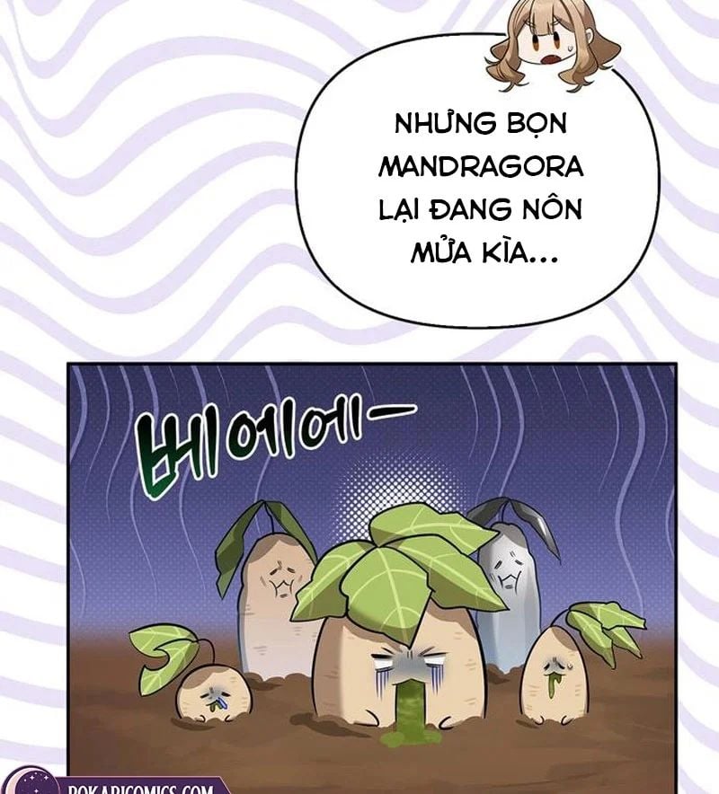 Healer Cấp S Chữa Trị Cho Quái Vật Chapter 26 - Trang 2