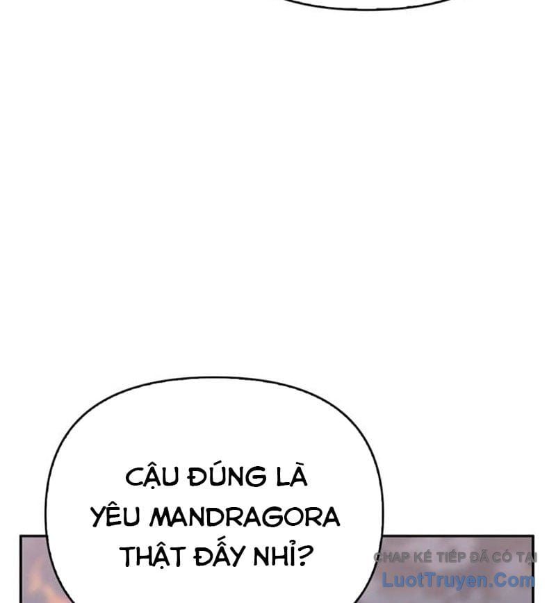 Healer Cấp S Chữa Trị Cho Quái Vật Chapter 26 - Trang 2