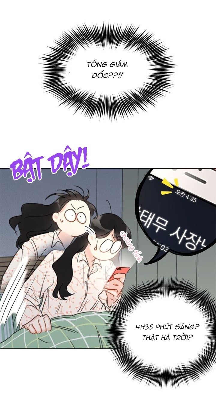 Hẹn Hò Chốn Công Sở Chapter 15 - Trang 2