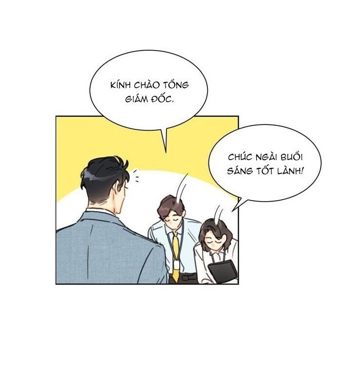 Hẹn Hò Chốn Công Sở Chapter 19 - Trang 2