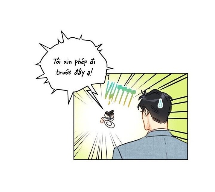 Hẹn Hò Chốn Công Sở Chapter 19 - Trang 2