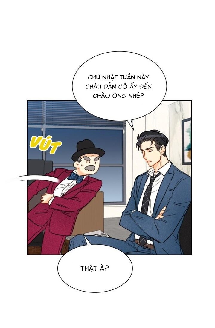 Hẹn Hò Chốn Công Sở Chapter 21 - Trang 2