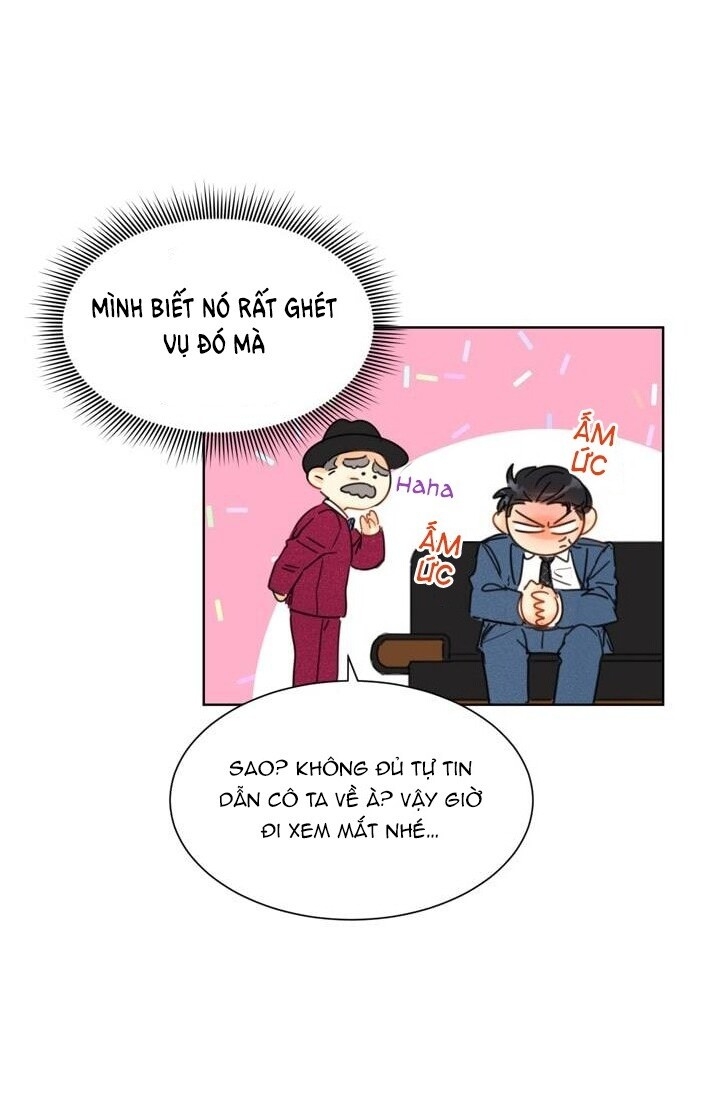 Hẹn Hò Chốn Công Sở Chapter 21 - Trang 2