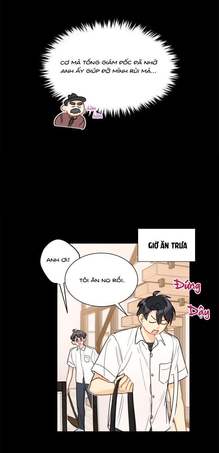 Hẹn Hò Chốn Công Sở Chapter 23 - Trang 2